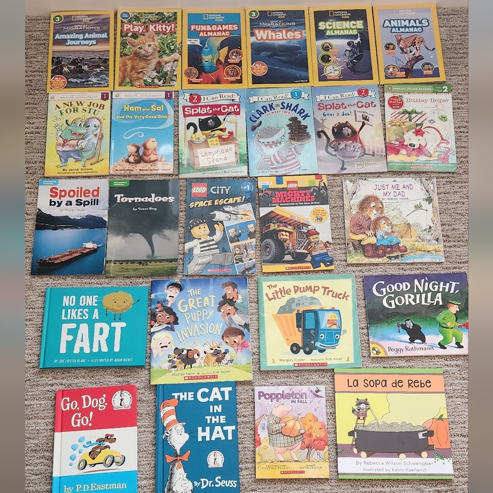 Qty 25 - Kid Books